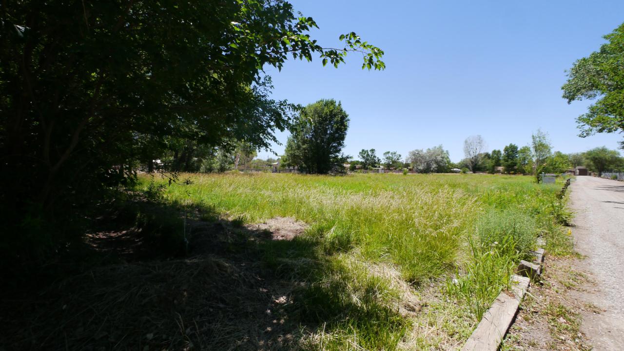 Camino Del Prado (East Lot) - Photo 1