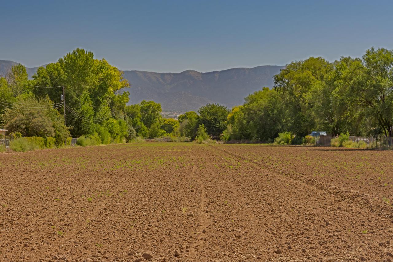 10119 Guadalupe Trail - Photo 1