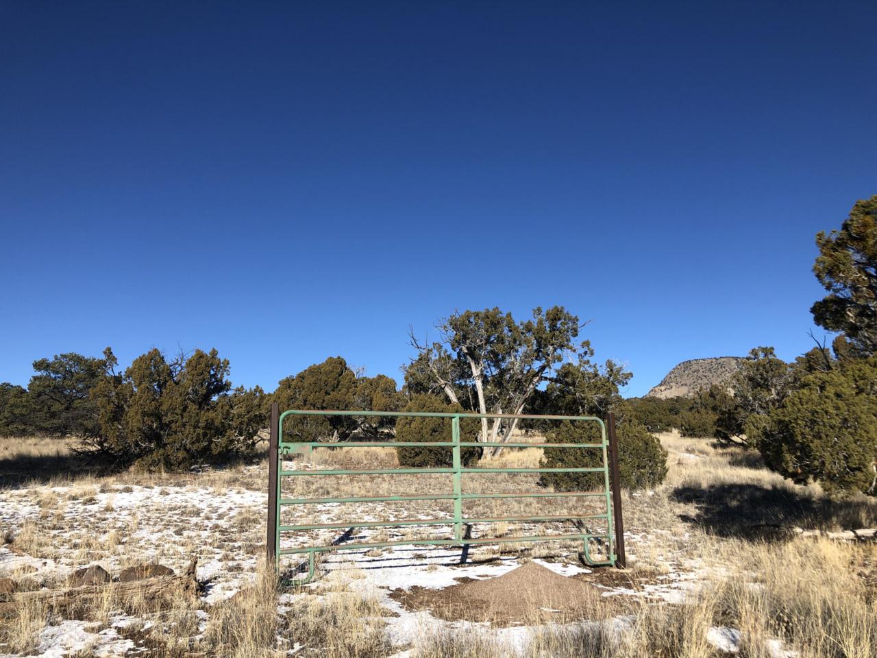 171 Sugarloaf Trail - Photo 1