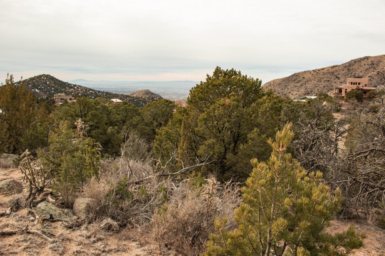 Circle Drive - Photo 1
