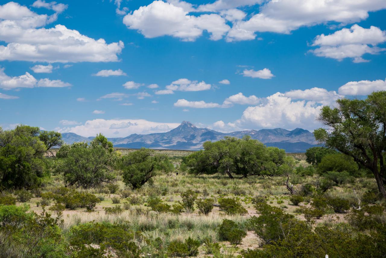 Magic Ranch - Photo 1