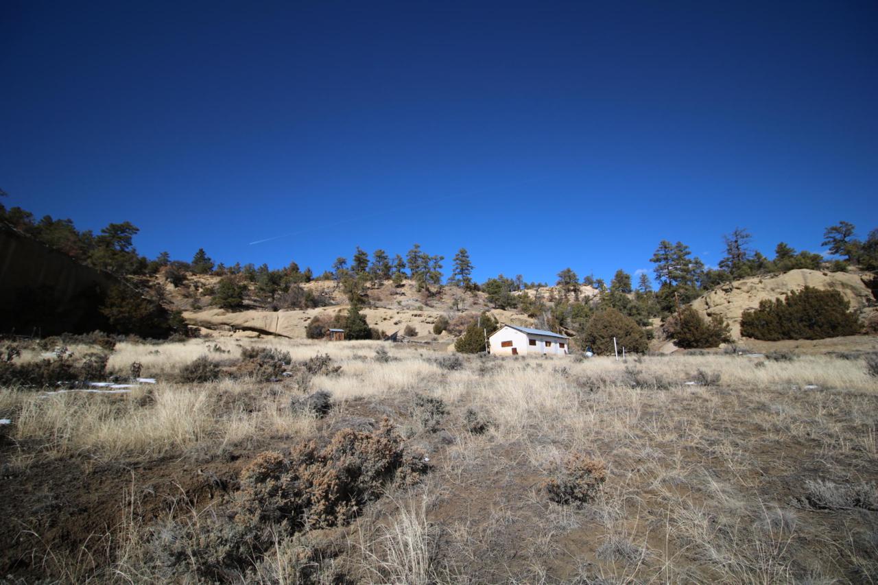 Los Pinos County Road - Photo 1