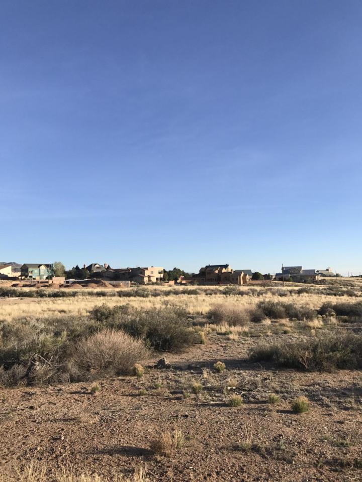 Palomas Avenue - Photo 1