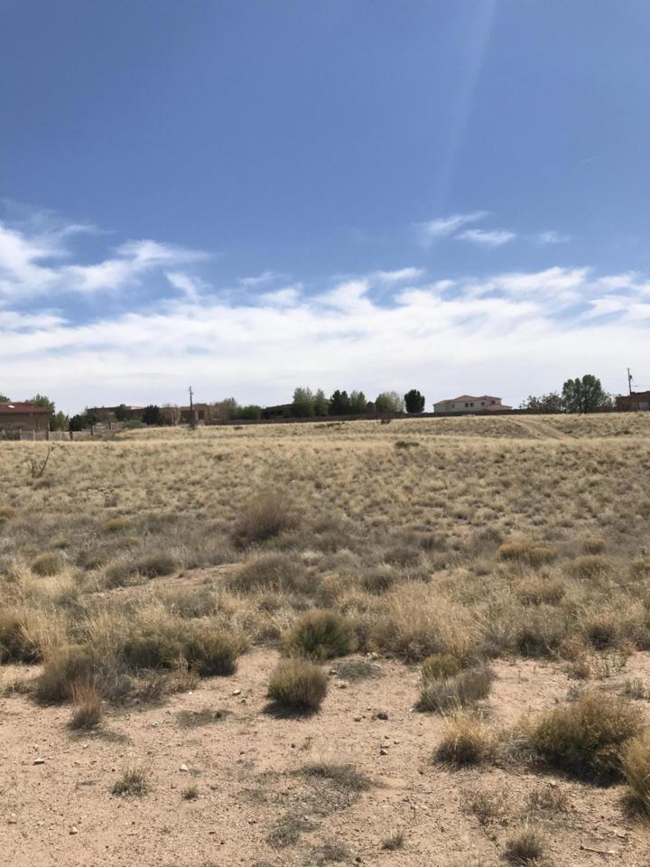 Palomas Avenue - Photo 1