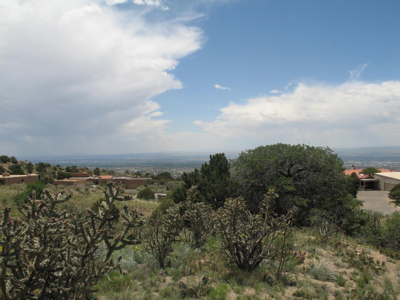 15 La Cueva Trail - Photo 1