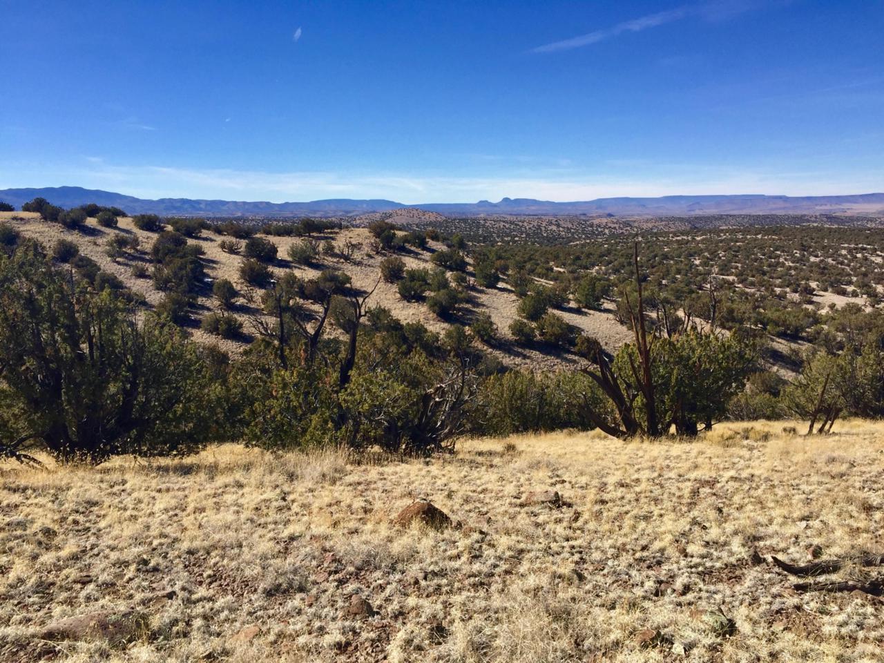 110 Abbe Springs Ranches - Photo 1