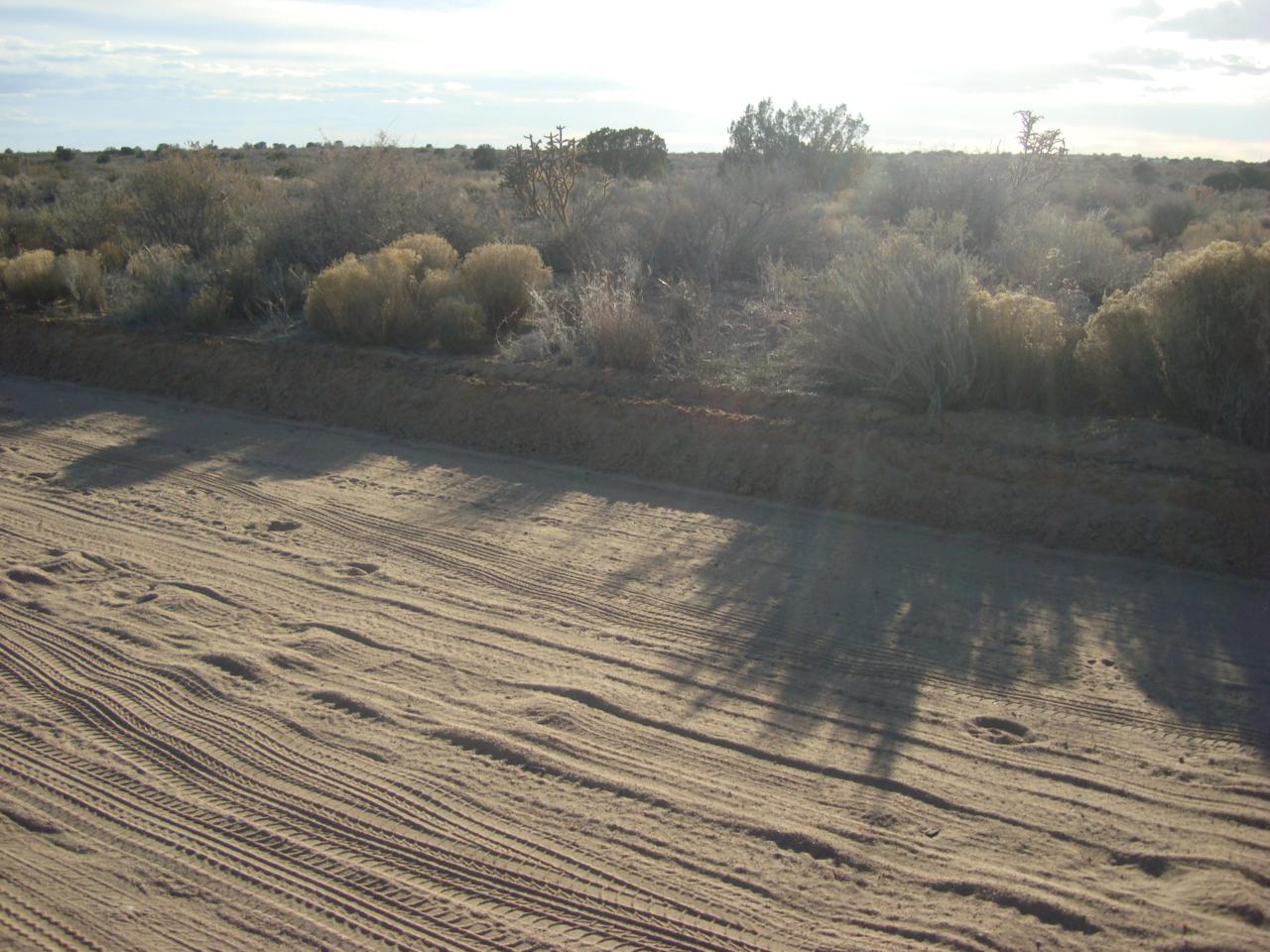 0 20th (U1-B2-L51) - Photo 1