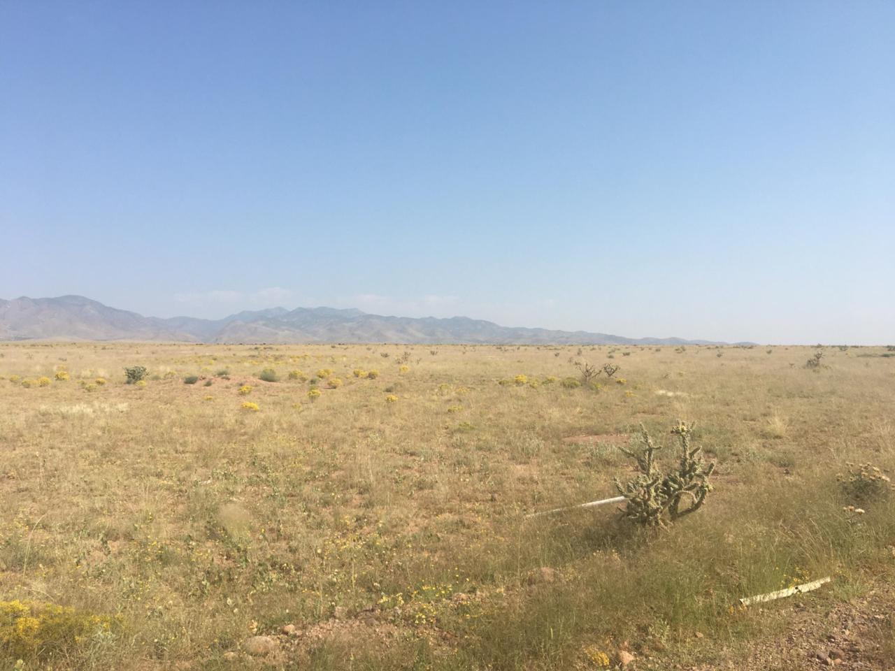 0 Cholla Court - Photo 1