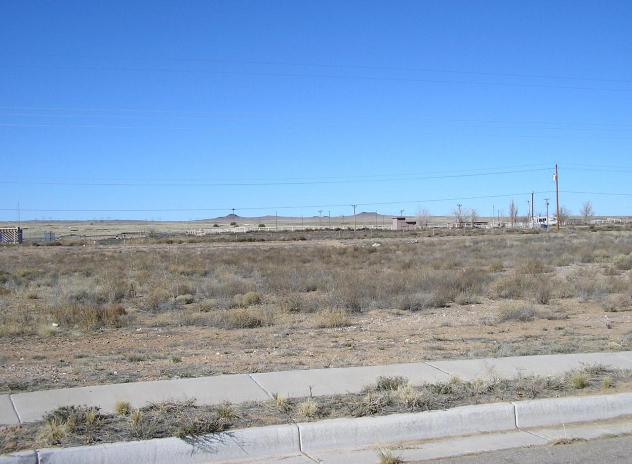 8027 Monte Carlo Drive - Photo 1