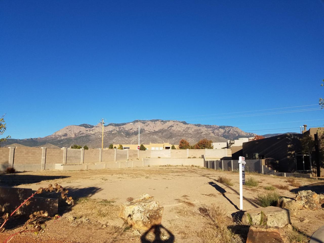 8220 Grape Harvest Court - Photo 1