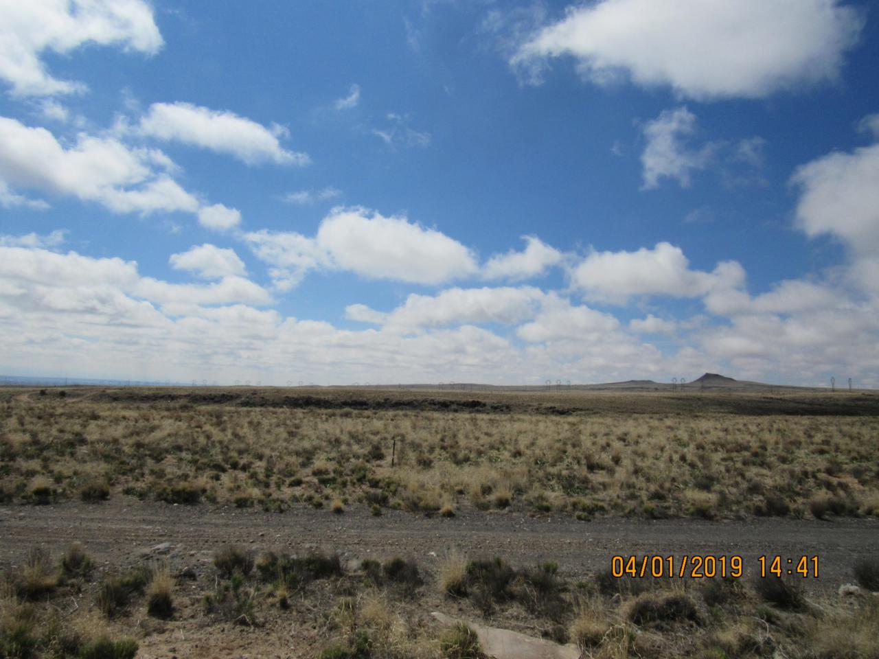 Scenic & Boulevard De Oest - Photo 1