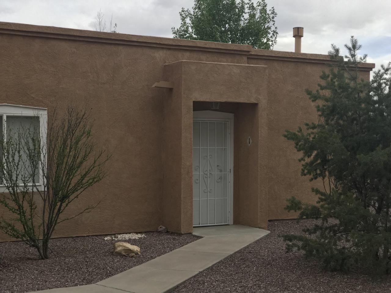1005 Mineral Way - Photo 1