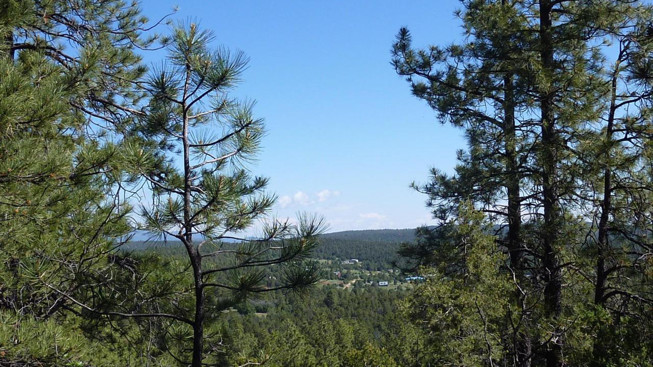 20 Estrella Vista Drive - Photo 1