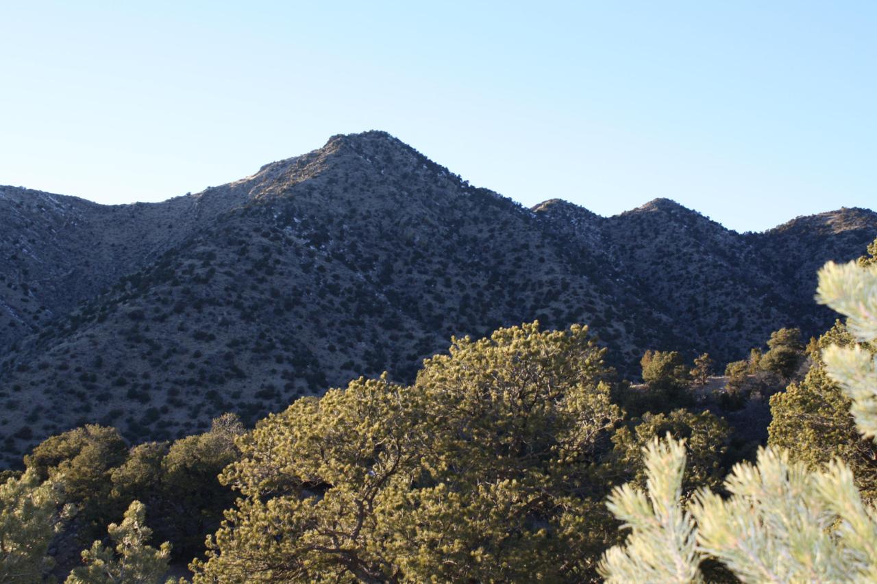 0 Cactus Trail - Photo 1