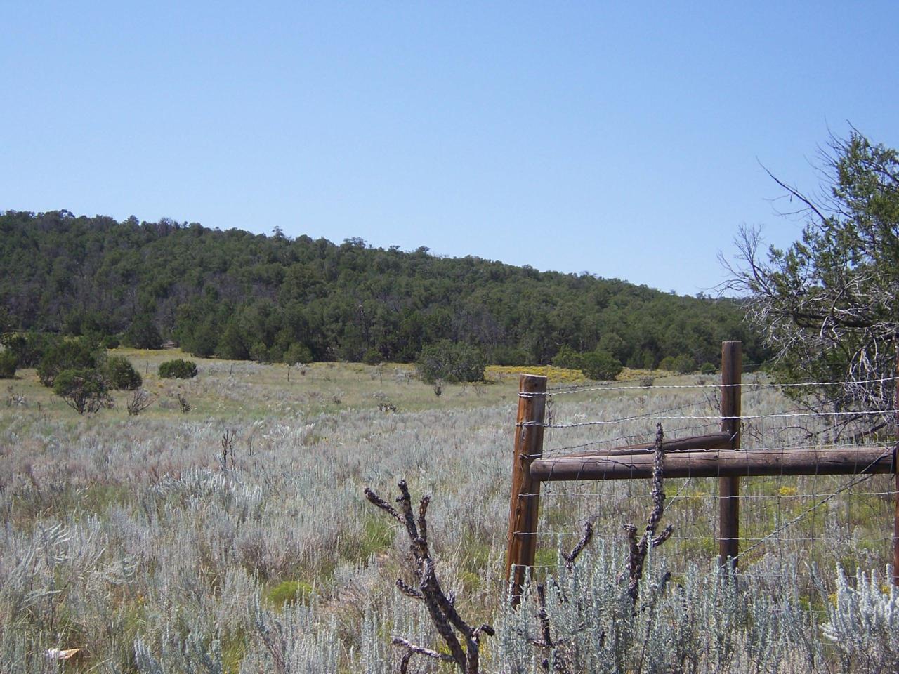 Lot 37 Calle Linda Luna - Photo 1 Lot 37 Calle Linda Luna - Photo 1