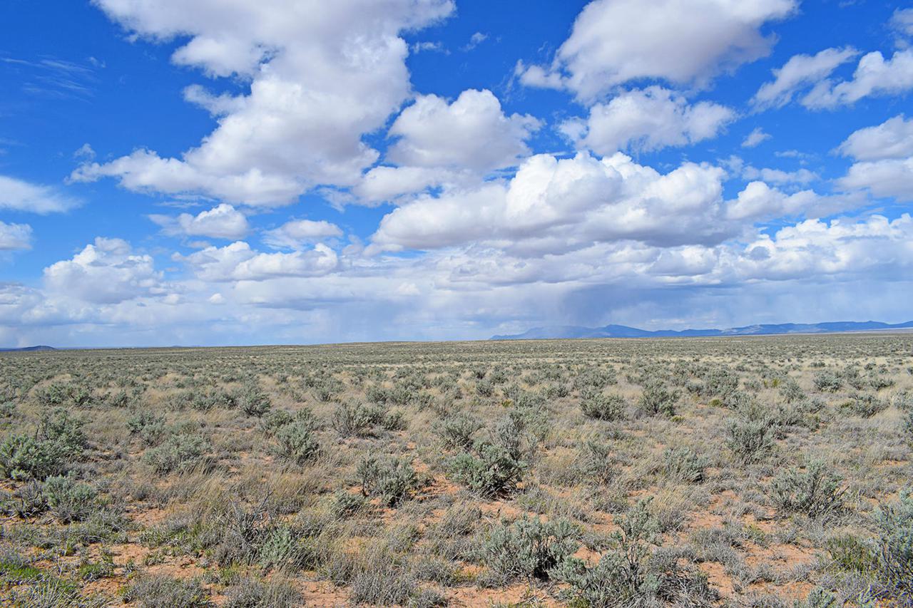 Lot 93 Rancho Rio Grande - Photo 1