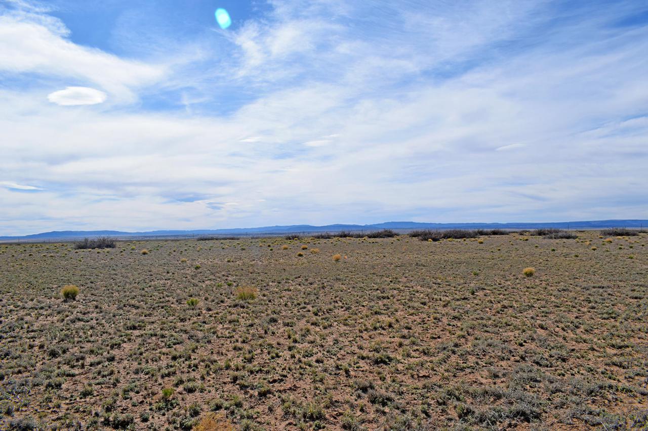 Lot 23 Rancho Rio Grande West - Photo 1