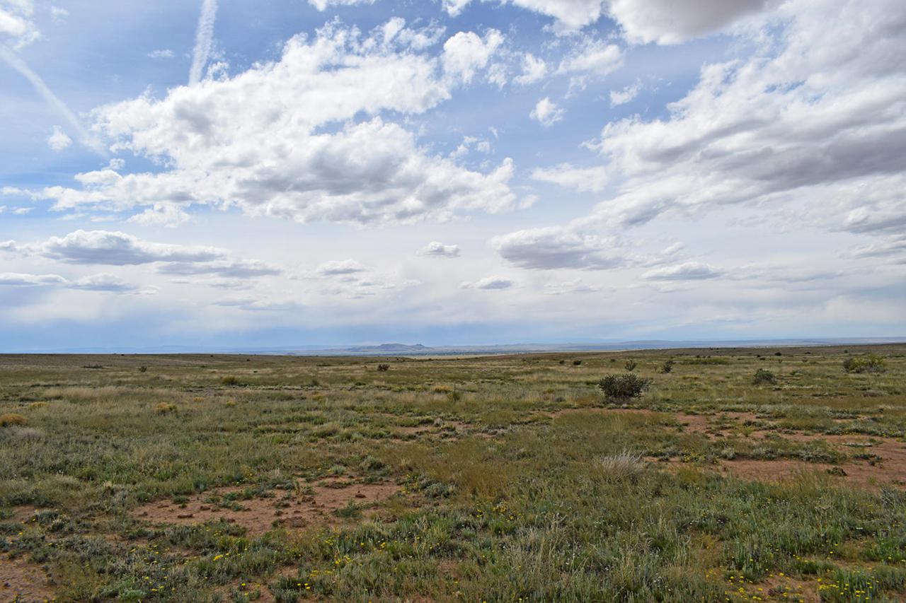 Lot 17 Rio Del Oro - Photo 1