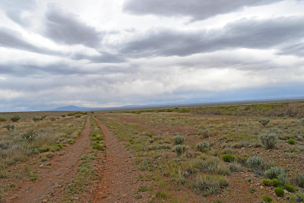 Lot 2 Rio Del Oro - Photo 1