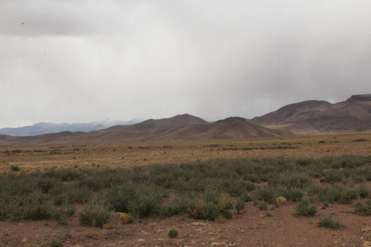 Bosque Trail - Photo 1