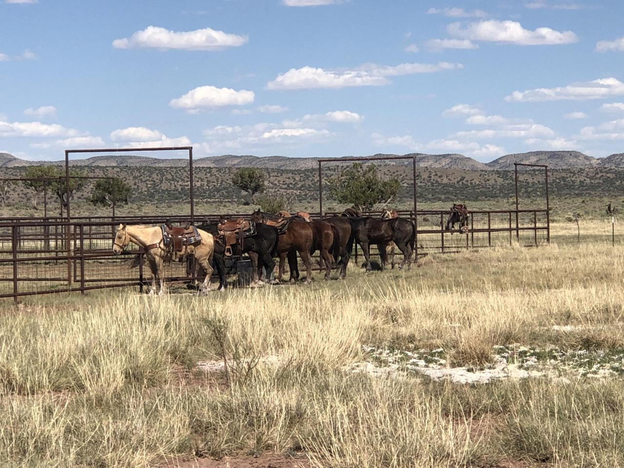 Triangle Sky Ranch - Photo 1