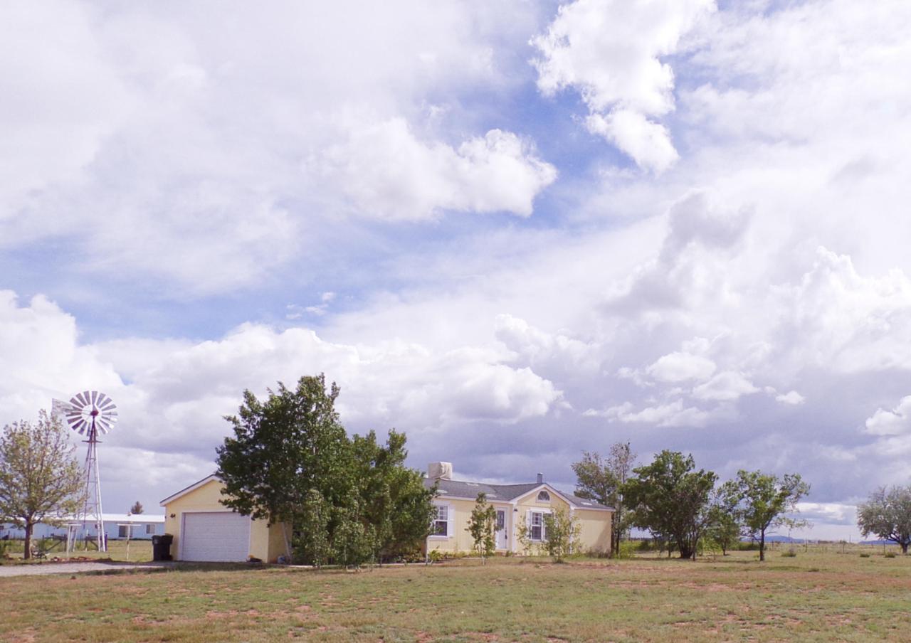 54 Coyote Loop - Photo 1