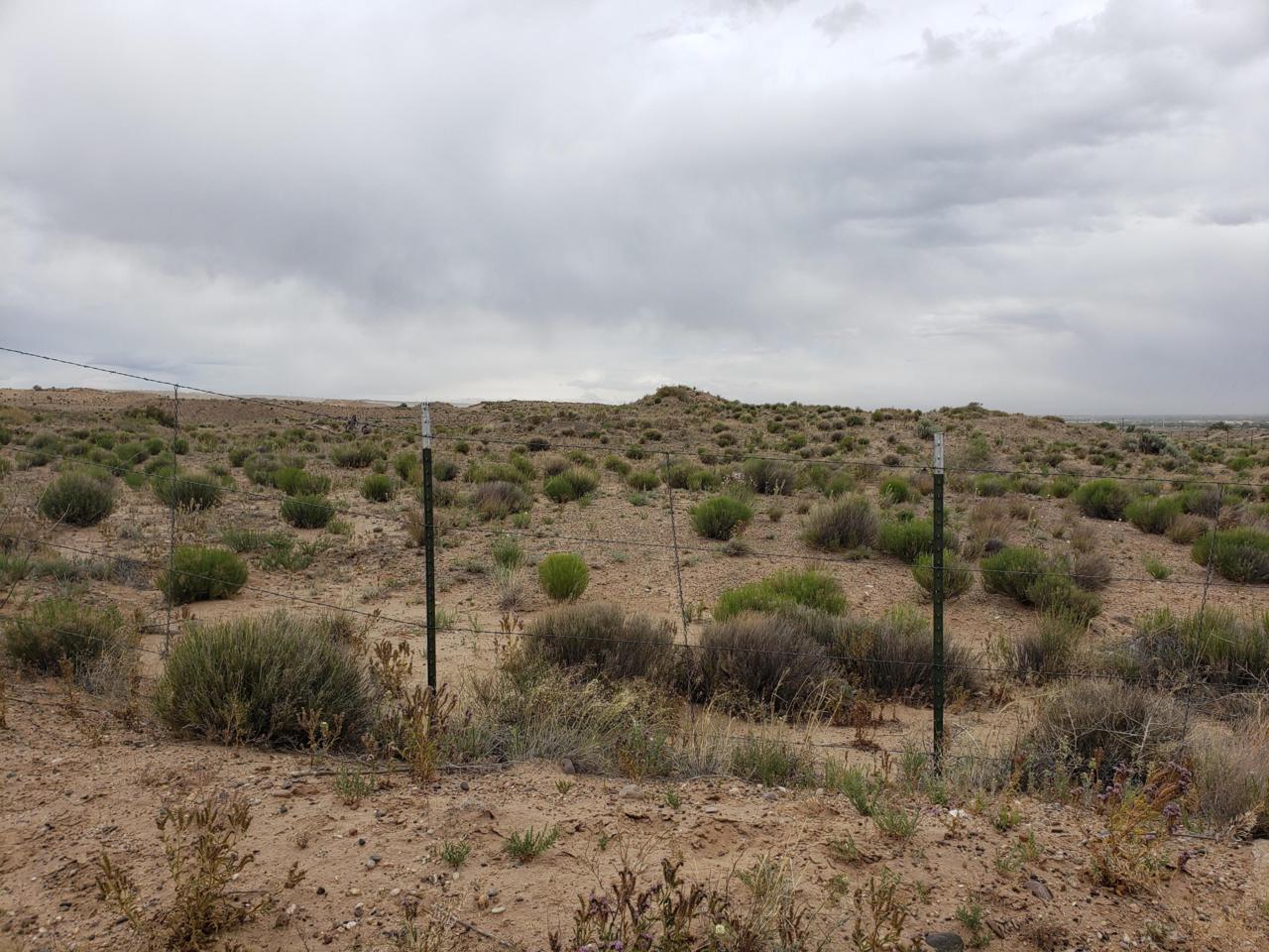Niese Drive - Photo 1