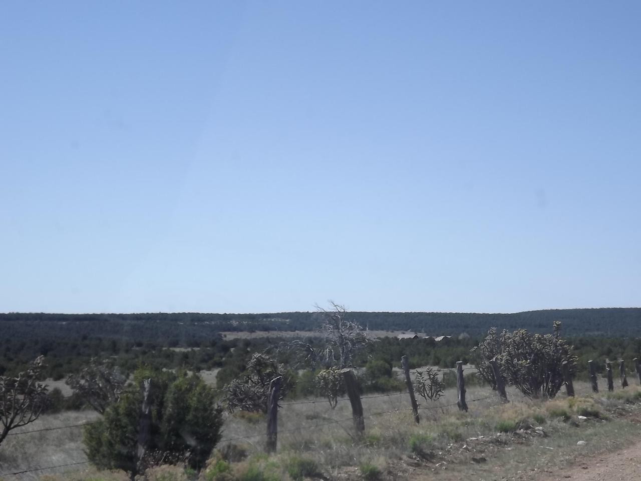 66 B Gallegos Road - Photo 1