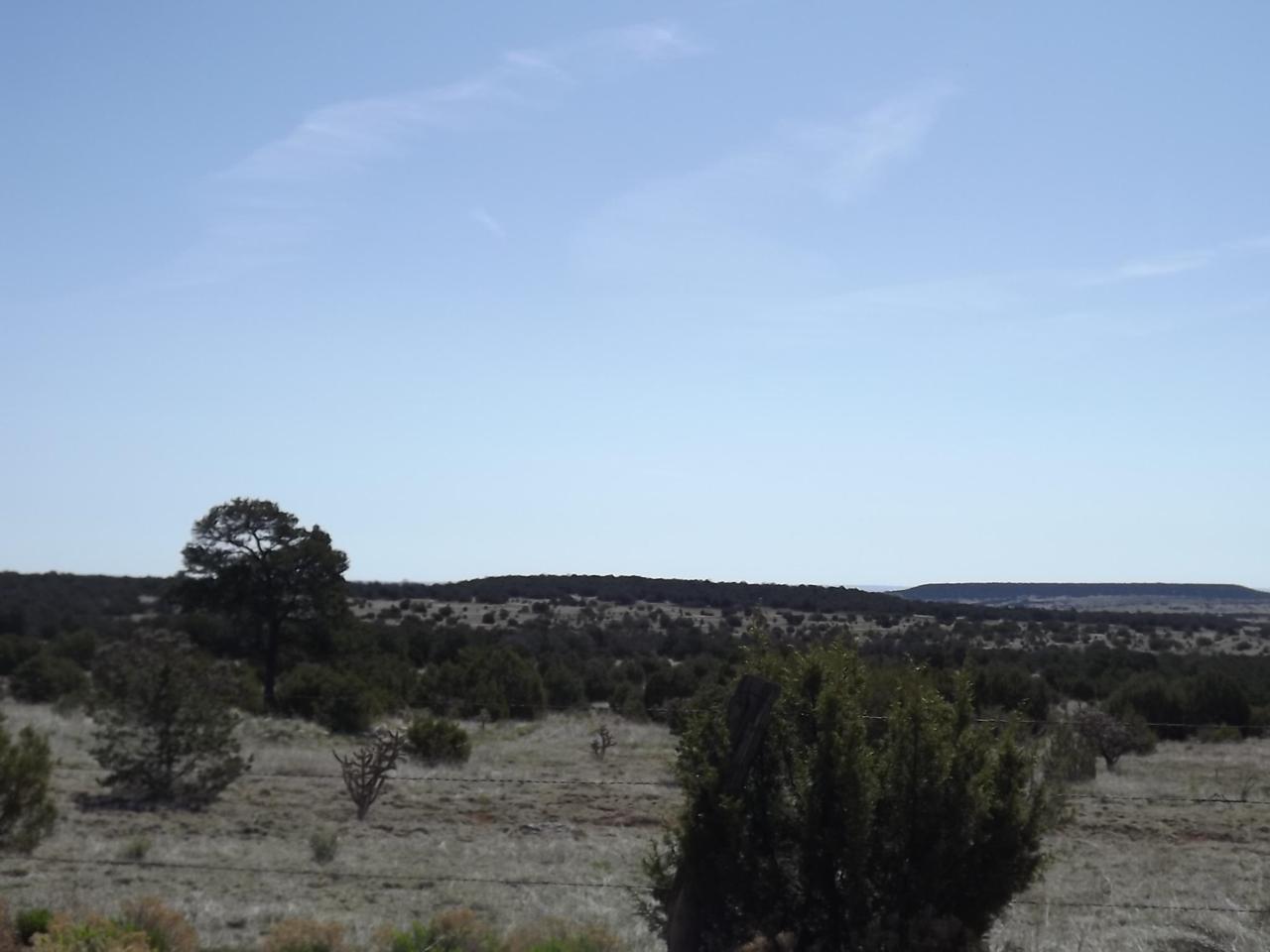 Gallegos Road - Photo 1