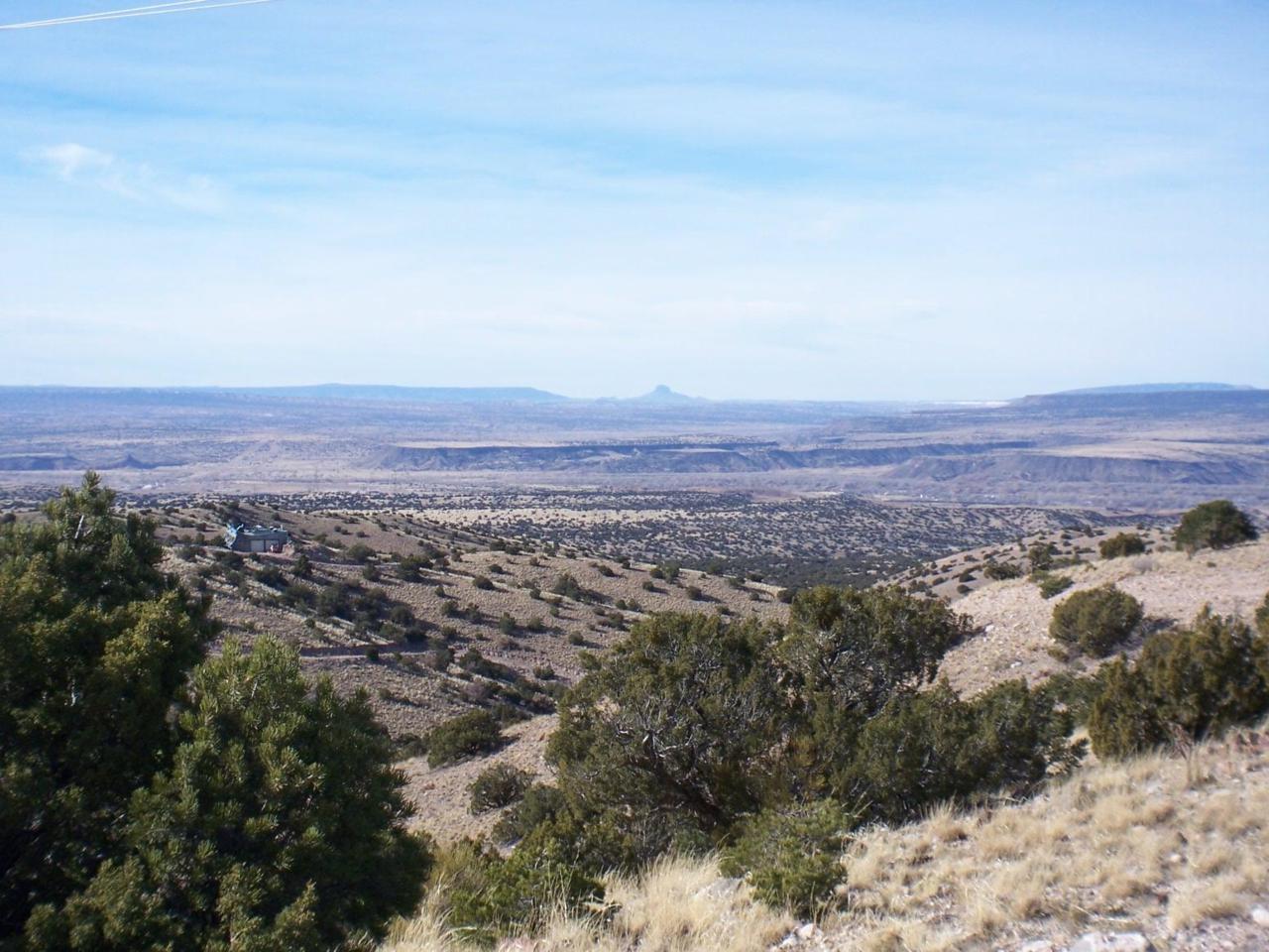 Camino Halcon - 5 Acres - Photo 1