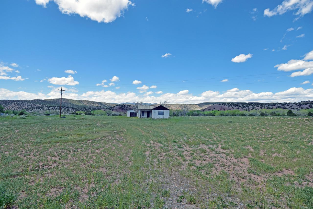 3911 New Mexico State 290 Road - Photo 1