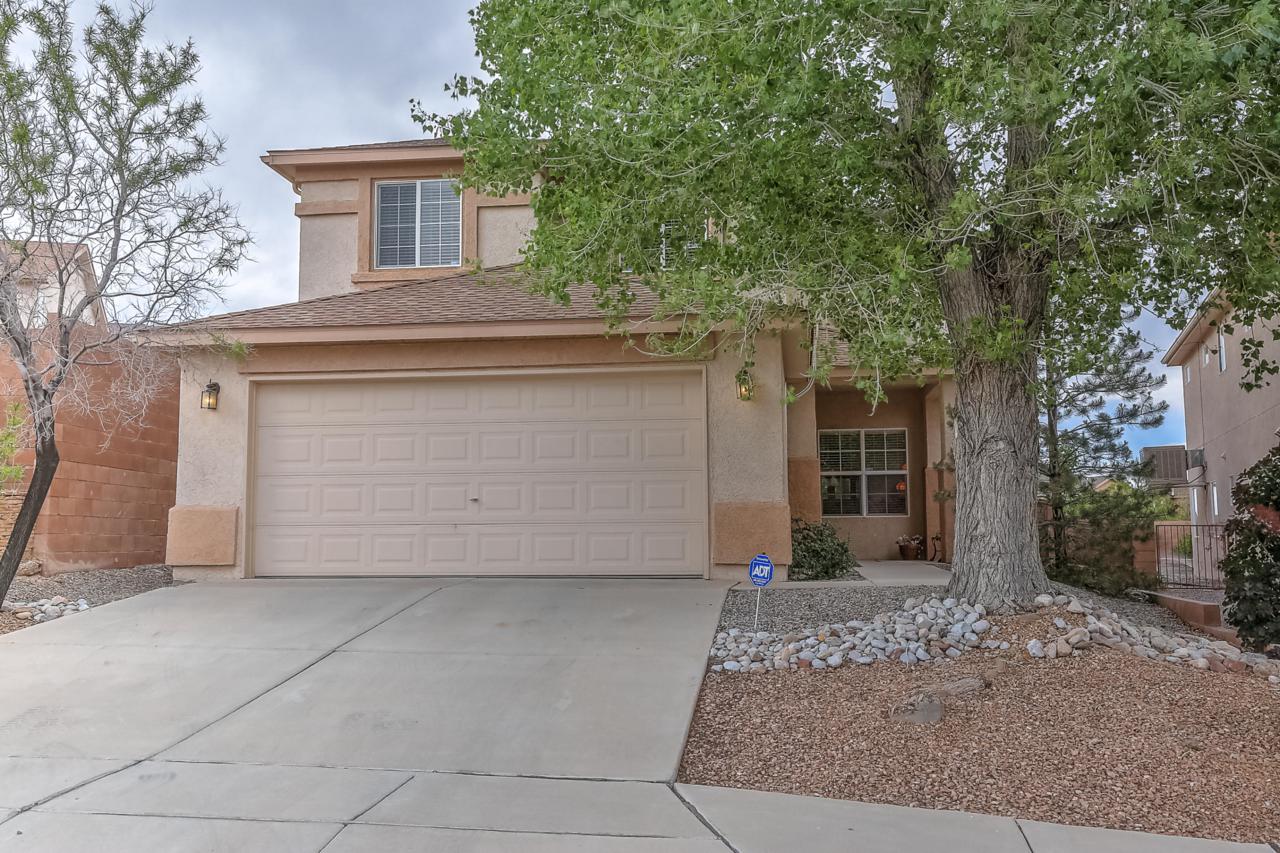 9936 Sunshine Mesa Drive - Photo 1