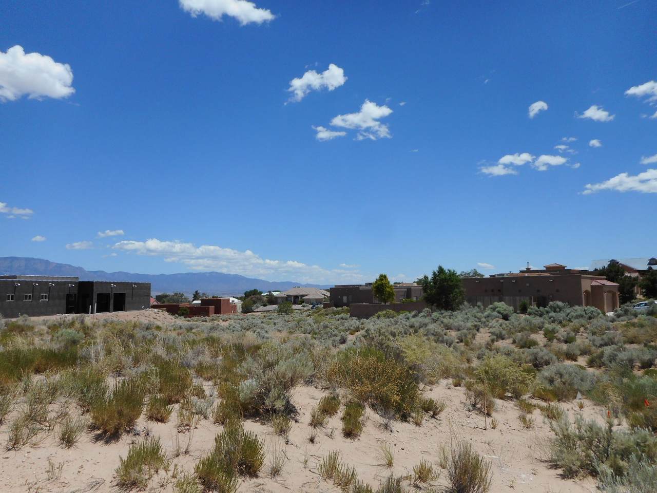 Colorado Mountain/Cheetah Road - Photo 1