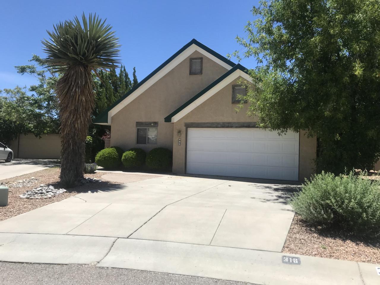 316 La Chamisal Lane - Photo 1