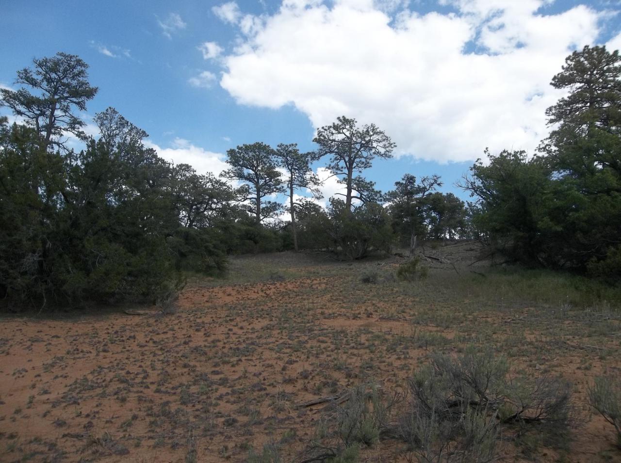 230 Ridge Road - Photo 1