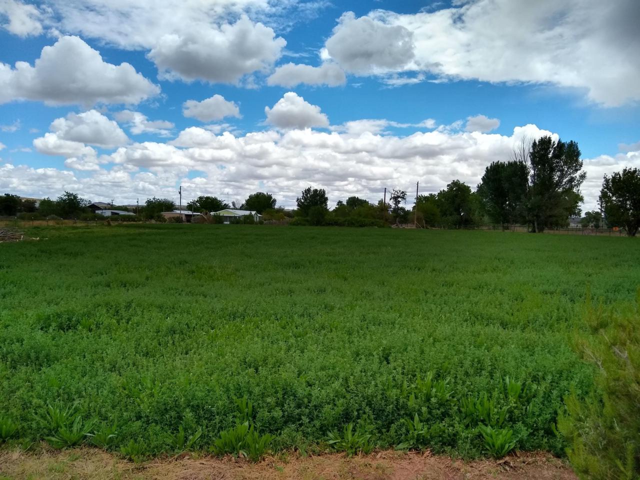 47 Hemingway Loop - Photo 1