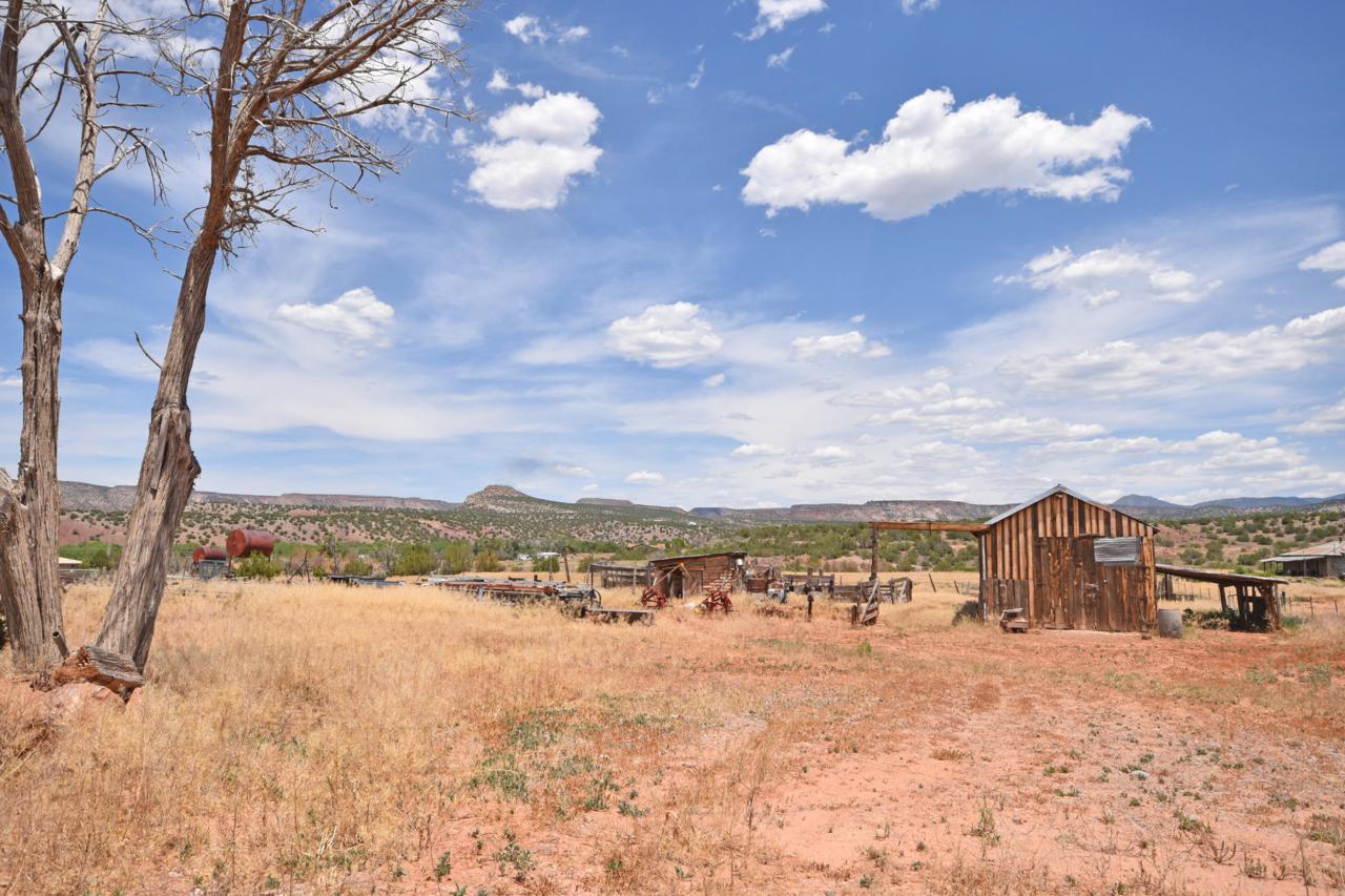 3744 New Mexico State 290 Road - Photo 1