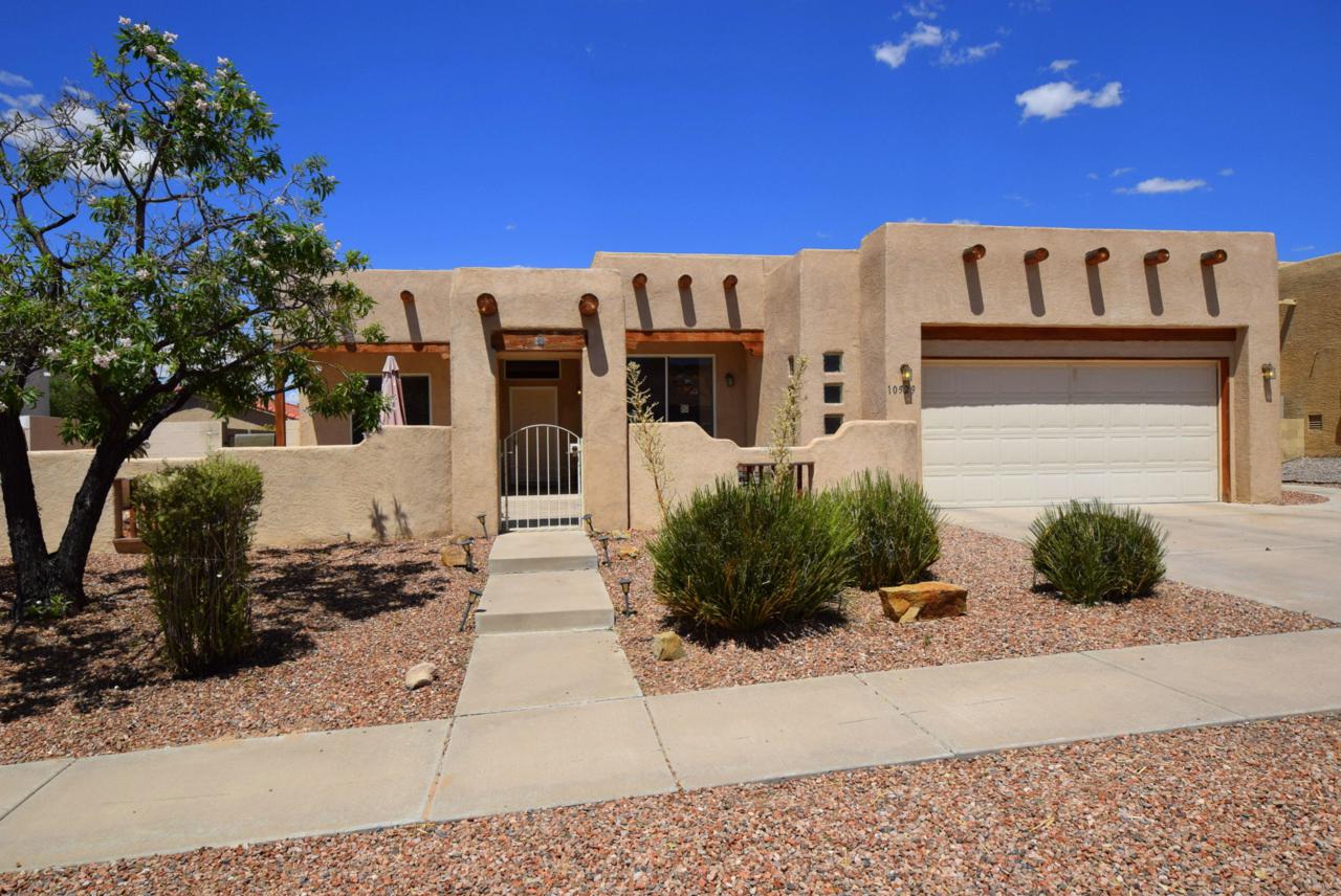 10529 Pisa Drive - Photo 1