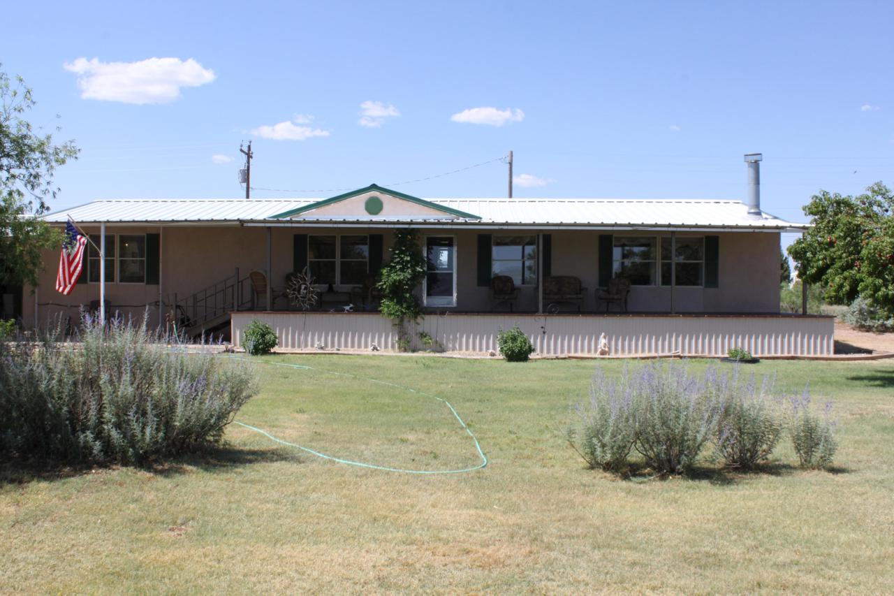 309 Big Mesa Avenue - Photo 1
