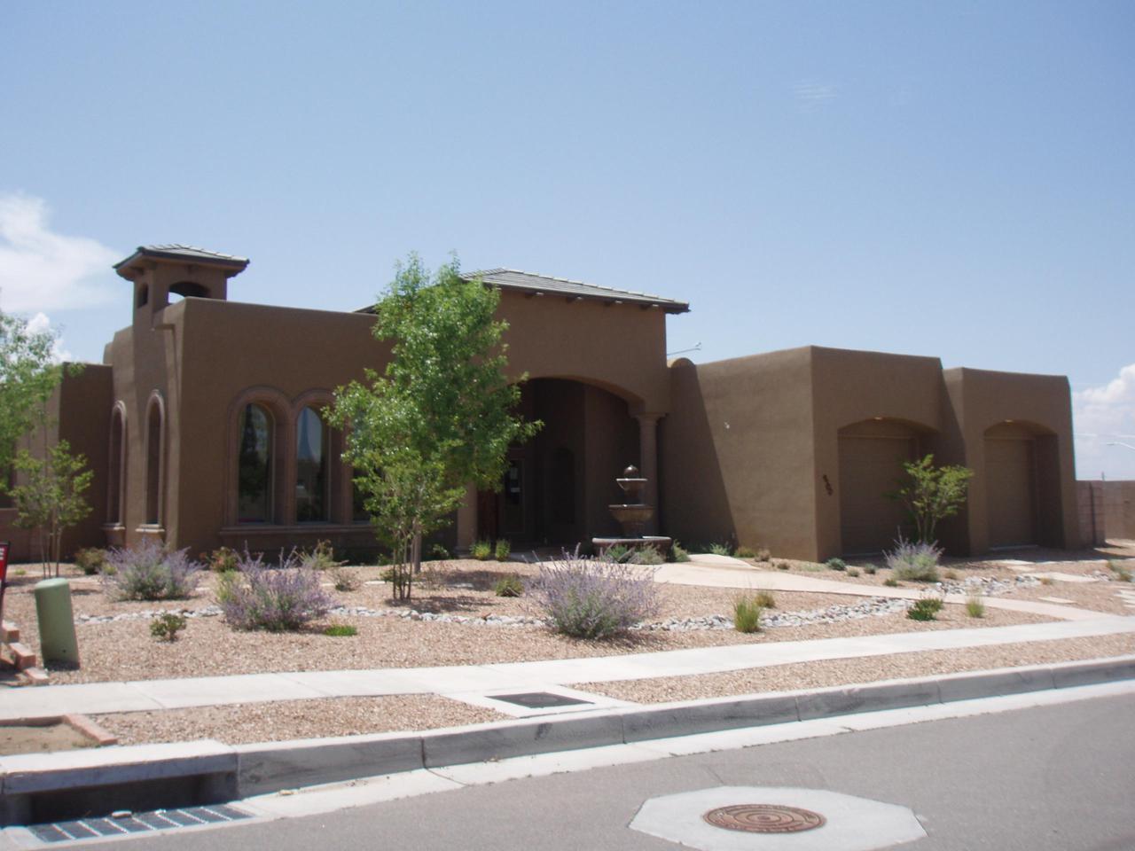 9700 Sand Verbena Trail - Photo 1