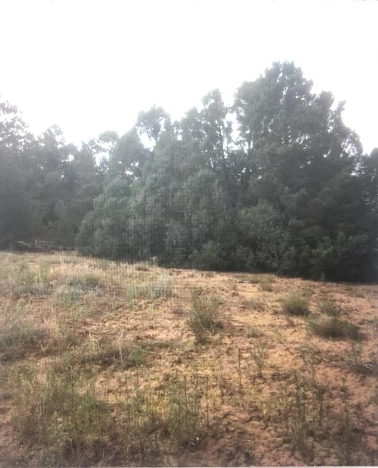 47 Camino Circular - Photo 1 47 Camino Circular - Photo 1