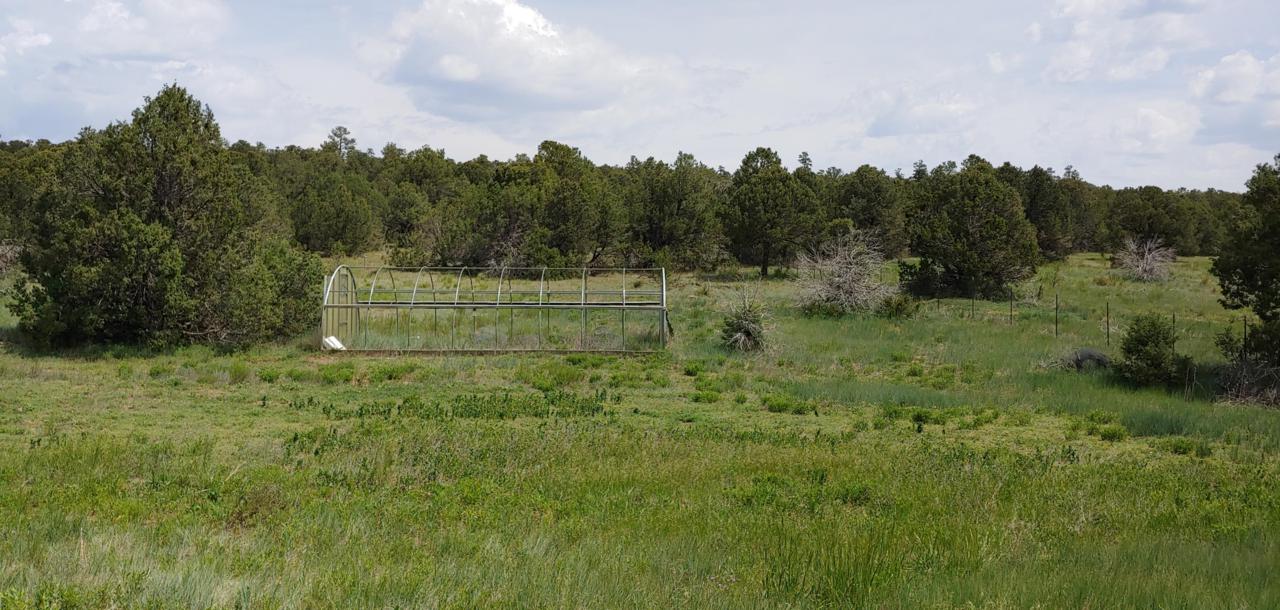 51 Camino Del Norte - Photo 1
