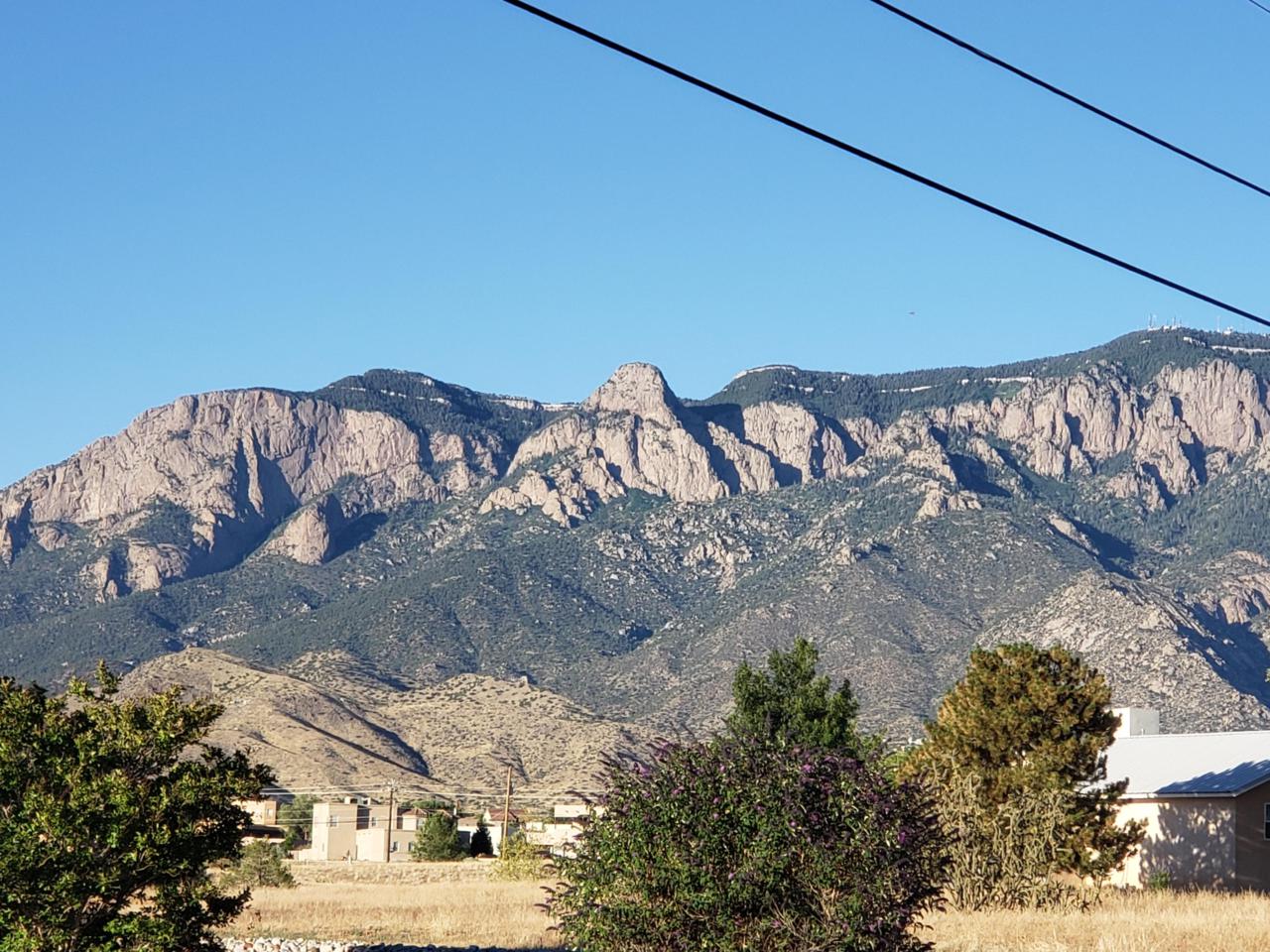Eagle Rock Avenue - Photo 1