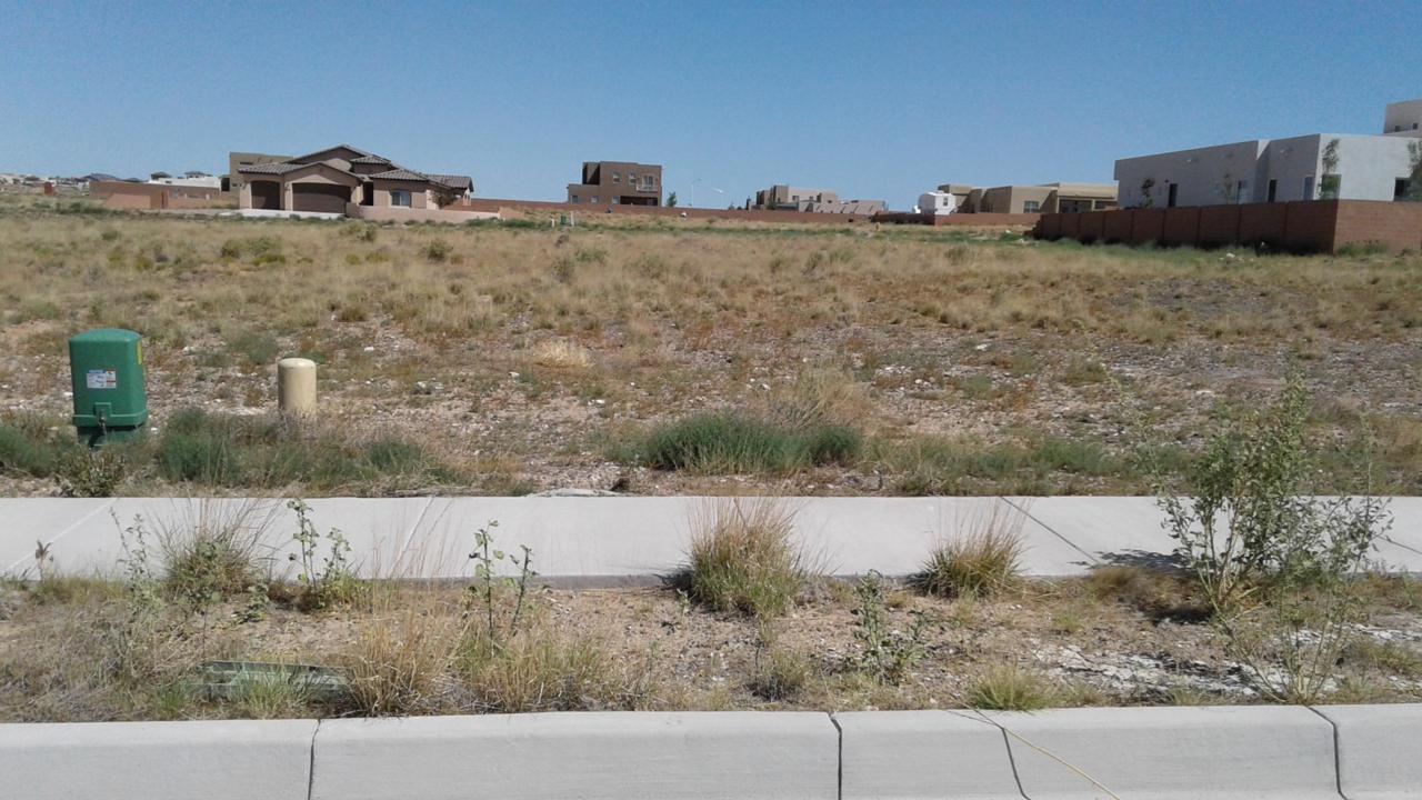 6523 Vista Del Prado Road - Photo 1