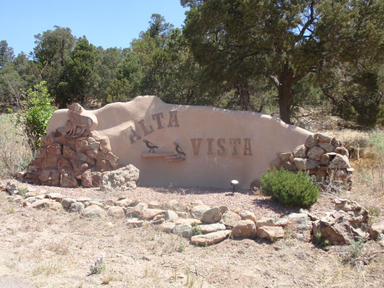 49 Alta Vista Road - Photo 1