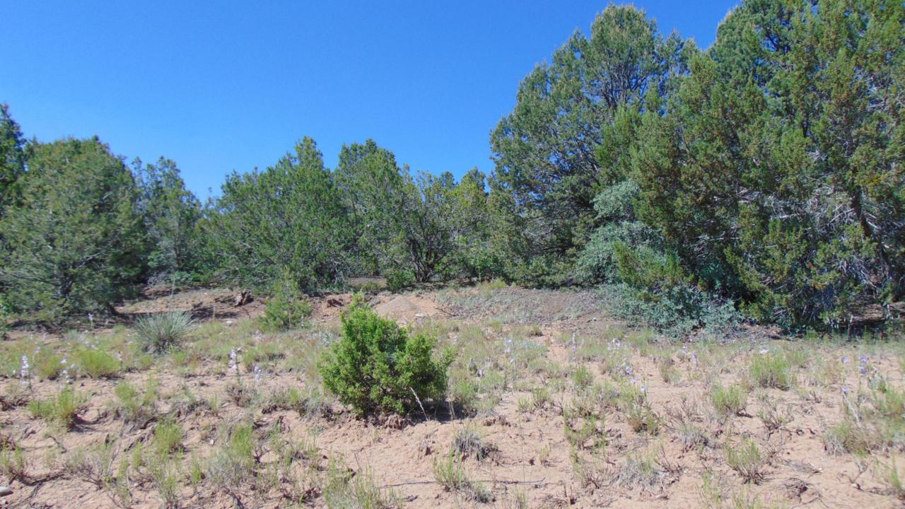 4 Belle Starr Road - Photo 1 4 Belle Starr Road - Photo 1