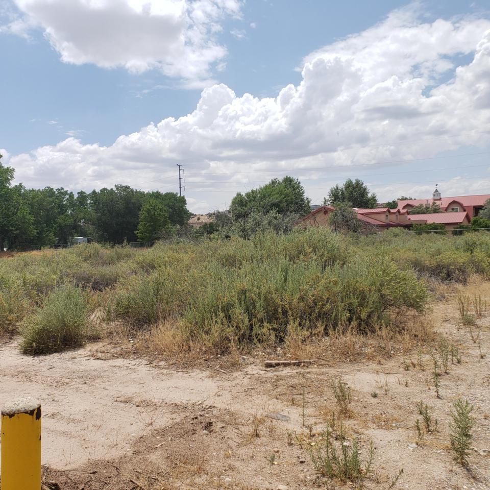 1829 Gabaldon Drive - Photo 1
