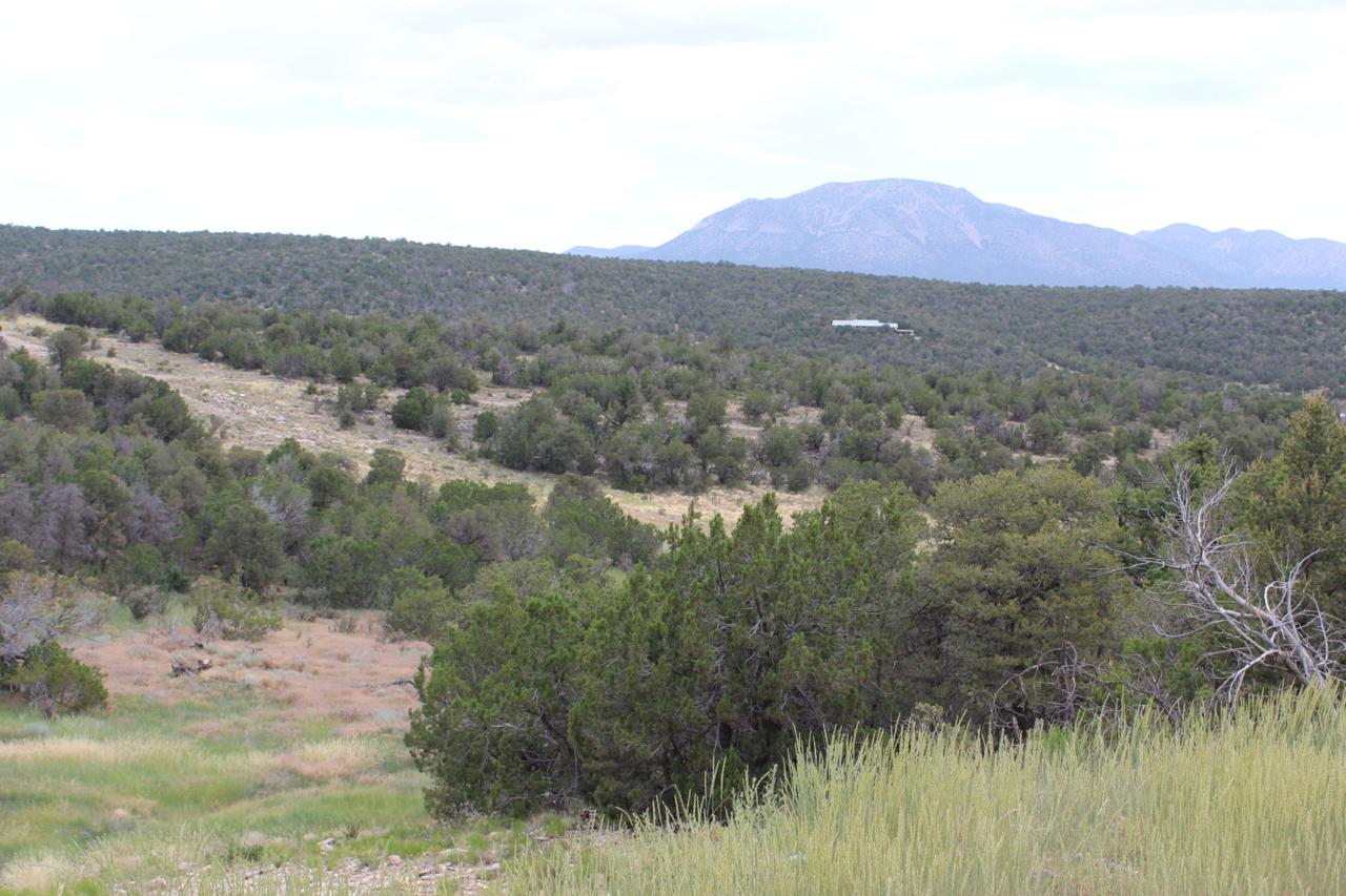 244 Hill Ranch Road - Photo 1 244 Hill Ranch Road - Photo 1