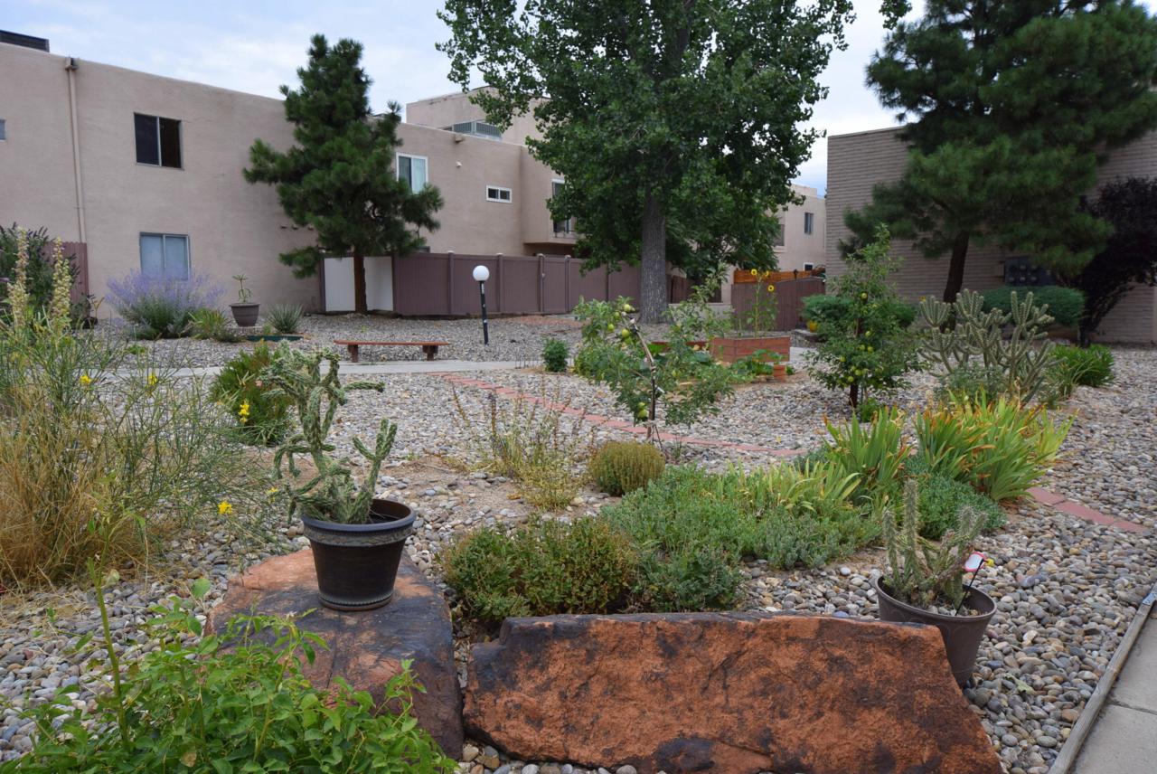 3501 Juan Tabo Boulevard - Photo 1