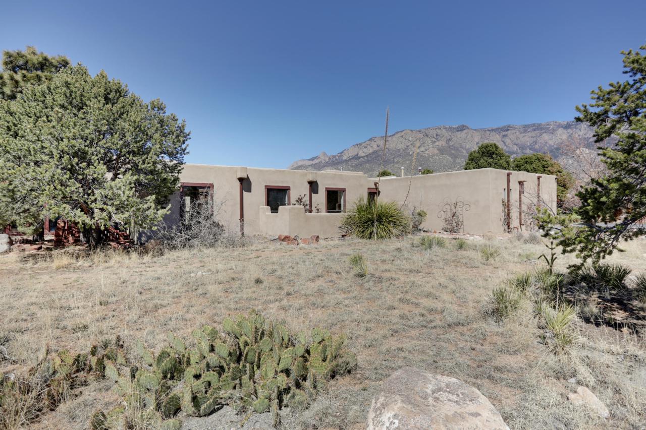 1455 Bluebell Drive - Photo 1